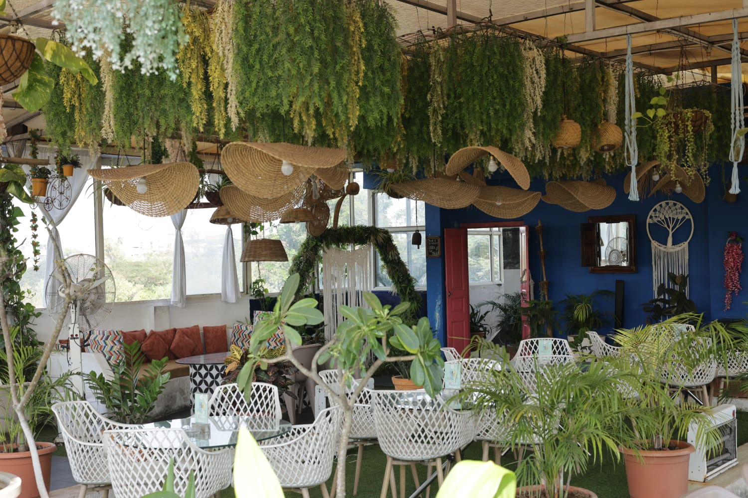 WhatsApp Image 2024-06-05 at 16.47.40